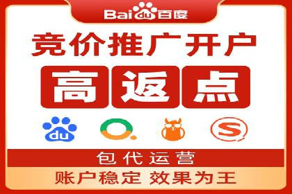 百度推广公司的成功案例：如何实现广告投资回报最大化