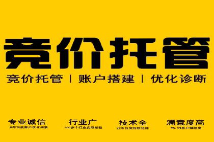 某行业SEM竞价策略的运营实践与效果